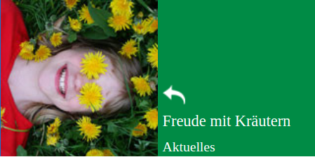 Freude mit Kräutern