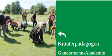  Kräuterpädagogen