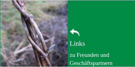 Links